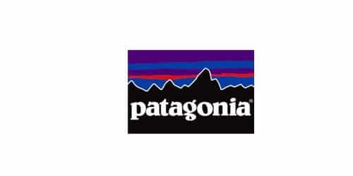 afstand stimulere Højde WHAT IS PATAGONIA LOGO: Meaning, Font, and History