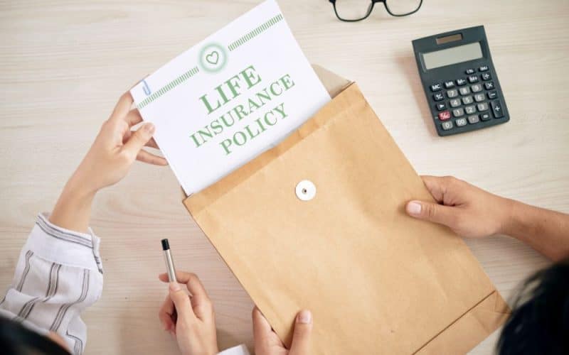 Term and Whole Life Insurance