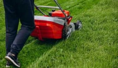 LANDSCAPING INSURANCE COST: 2023 Price Guide