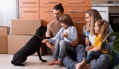Pet Liability Insurance for Renters Cost policy