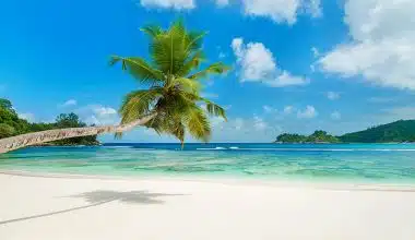 Best Beaches In Africa