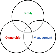 Three circle model of family business succesion planning