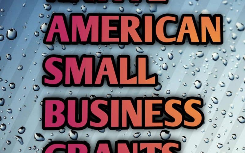 Native American small business grants