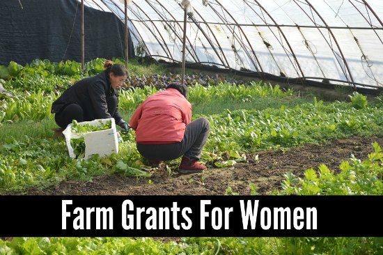FARM GRANTS FOR FEMALES