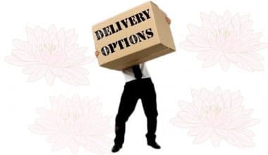Delivery-options