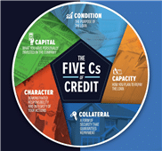 5 Cs of Credit