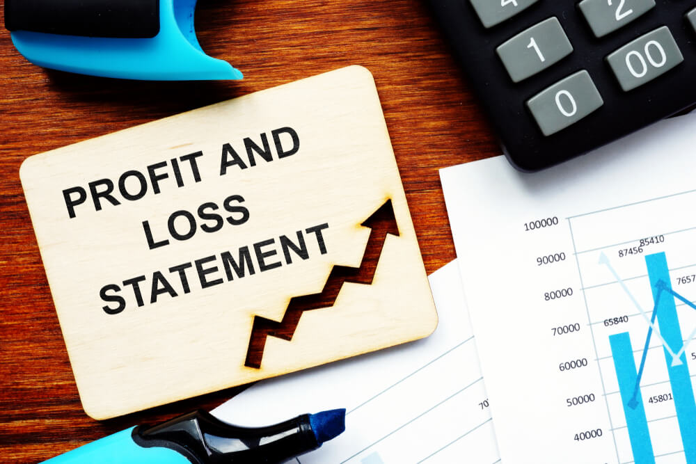 Balance Sheet vs Profit and Loss Statement