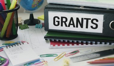 Examples Of Successful Grant Proposals