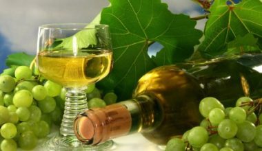 melhores marcas de vinho Chardonnay amanteigado