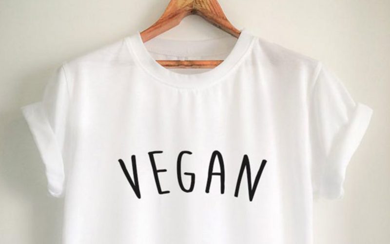 affordable ethical vegan clothing brands in the USA