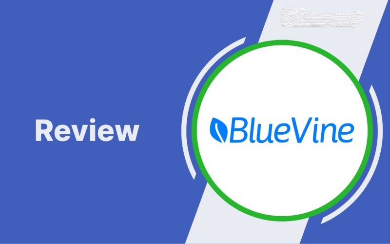 BlueVine Reviews