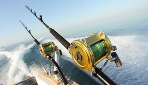 best fishing rod brands for saltwater