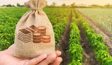 8 dicas para solicitar empréstimo agrícola como agricultor