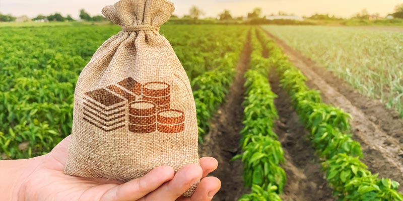 8 Tips to Apply For Agriculture Loan as a Farmer