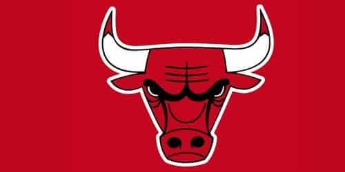 LOGOTIPO DE LOS CHICAGO BULLS: historia, cambios evolutivos, influencias del  diseño