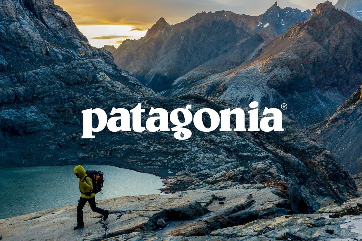 Lịch sử giá Áo khoác nam Patagonia Nano Puff® cập nhật 6/2023 - BeeCost