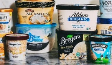 Ice Cream Brands vegano melhor caseiro