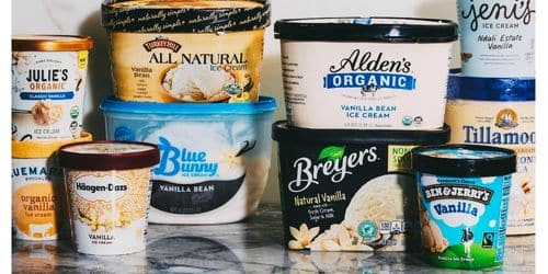Ice Cream Brands vegan best homemade