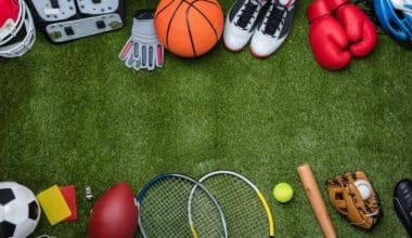 which sports makes the most money