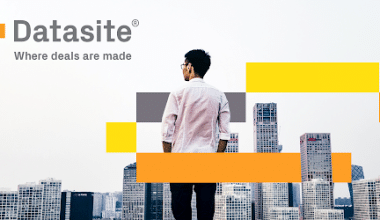 DataSite：含义、定价、竞争对手和有限责任公司
