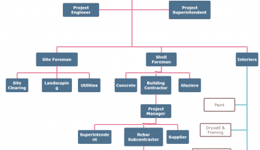 الهيكل التنظيمي للشركة