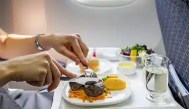 هل يمكنك إحضار الطعام على متن الطائرة