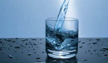Hydration Tips for a Healthy Lifestyle: How Much Water Should You Drink?