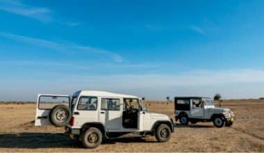 The Impact of the 70 and 79-Series Landcruisers on Business Transportation