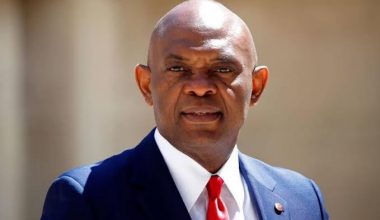 tony elumelu net worth