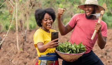 Grants for Agricultural Startups in Nigeria