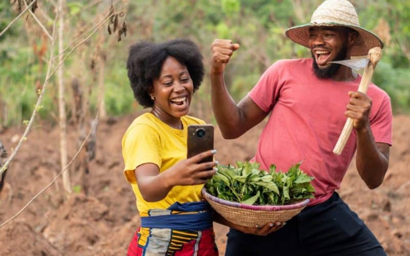 Grants for Agricultural Startups in Nigeria